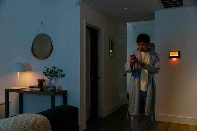 Vivint Johnson City smarthome automation